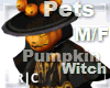 R|C Pumpkin Witch 1 M/F