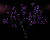 purple glo tree