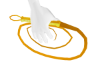 Gold Whip