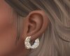 Diamond N Gold Earrings