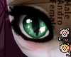 Papitas Sage Eyes