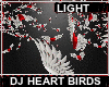DJ Heart Birds Light