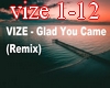 VIZE - Glad You Came