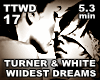 T.TURNER - WILDEST DREAM