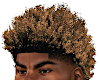 2K25 FRO BLONDE