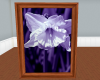 (AG) Amethyst Picture 2
