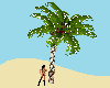 [MA] Palm Tree