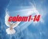 le-chant-des-colombes
