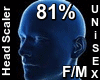 F/M Head Scaler 81%
