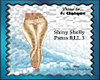 Shiny Shelly Pants RLL 3