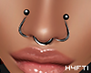 H4 | Mira Septum