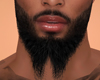 King Beard Realistic