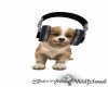 DJ Brown Puppy