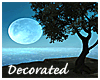 Moonlight Camping Decora