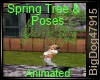 [BD] SpringTree&Poses