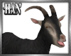[H]Goat Blk ►Furn