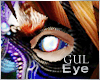 Eye_V.I