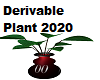 Derv Plant Vase 2020