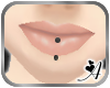 Av~Black Labret