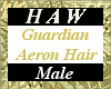 Guardian Aeron Hair - M