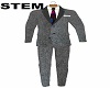 STEM Grey Suit +Tie