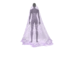Abbys Veil