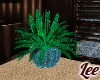 Smooth~PlantV3