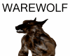 Warewolf Avatar