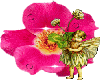pink flower fairy