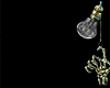 Z* Anim. Crystal  BG.