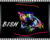 `BB` Rave Tiger Rainbow