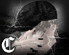 𝕮 white hcap