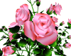 Rose Bush [pink]
