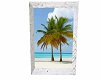 Beach Palm Trees Pic