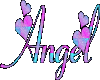 Multi color Angel tag