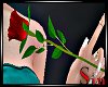 Unisex -Red Rose