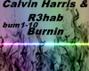 Calvin Harris & R3hab 