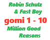 Robin Schulz / Million