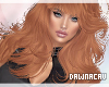 [DJ]Harrieo Ginger Spice