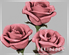H. Pink Roses Valentines