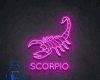 Scorpio   sign