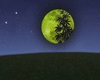 green moon *maria* room