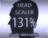 Head Scaler 131%