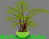 *MPR* Green Plant