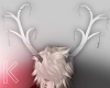 |< Antlers White