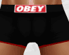 OBEY Shorts