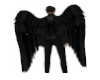 $ Wings Guardian Angel $