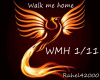 Walk Me Home, Pink