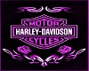 Purple Harley club 