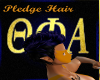 TPA Pledge Hair